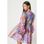 Floral Print Long Sleeve Organza Mini Dress