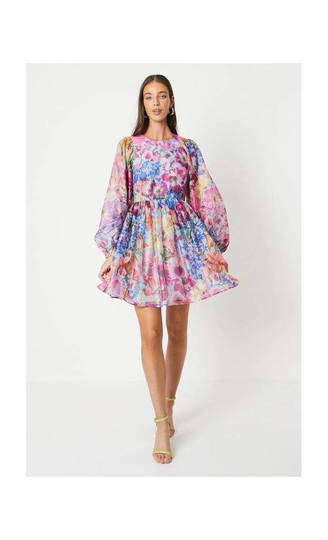 Floral Print Long Sleeve Organza Mini Dress