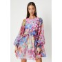 Floral Print Long Sleeve Organza Mini Dress