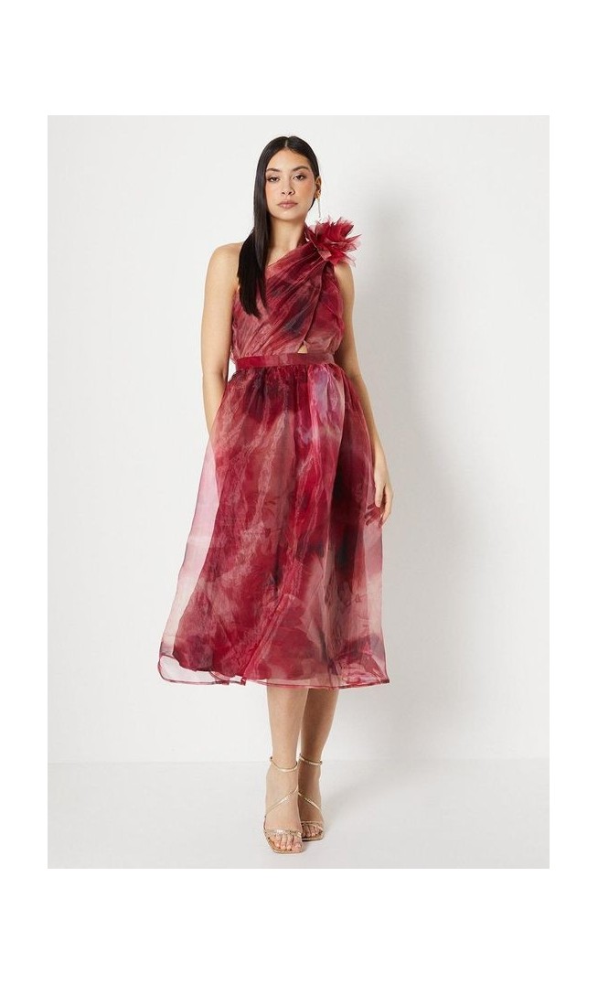 Corsage Trim Organza Strapless Midi Dress