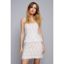 Lace Embellished Mini Dress