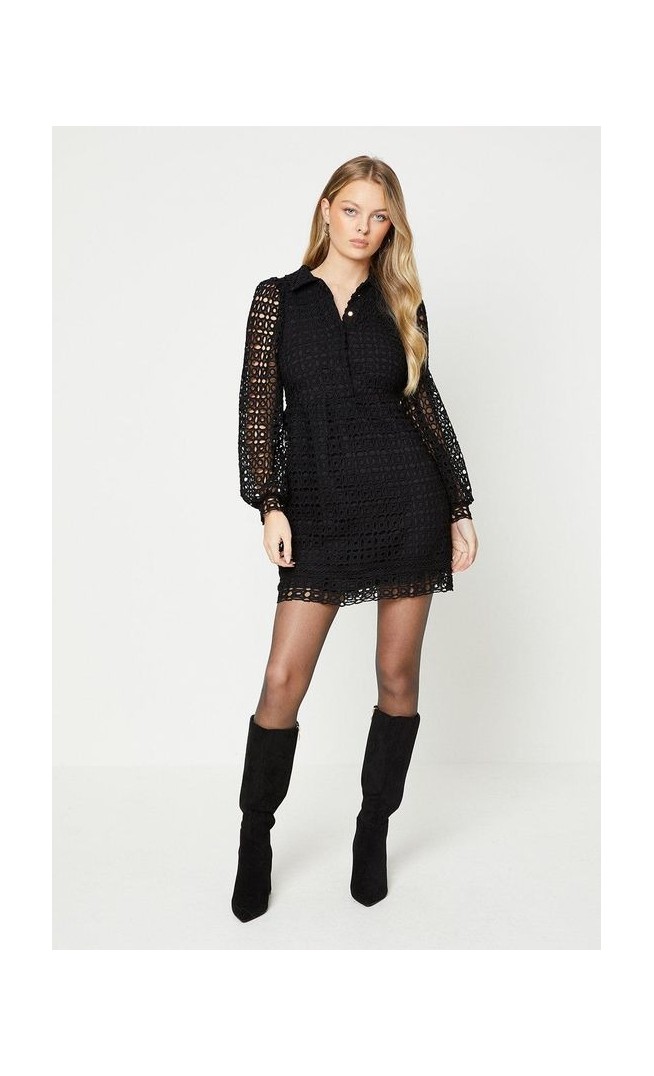 Lace Collared Button Front Lined Mini Dress