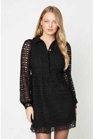 Lace Collared Button Front Lined Mini Dress