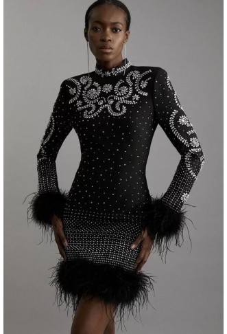 Feather Embellished Mini...