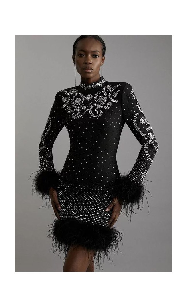 Feather Embellished Mini Dress Figure Form Bandage Knit