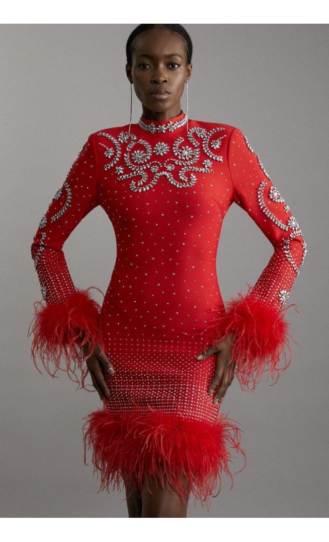 Feather Embellished Mini Dress Figure Form Bandage Knit
