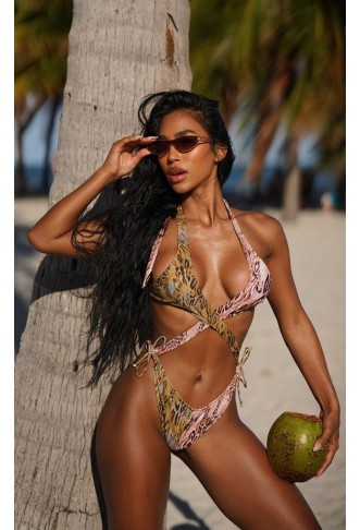 Brown Double Animal Print Contrast Cut Out Swimsuit