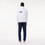 Lacoste WH7566
