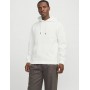 JJEBRADLEY SWEAT HOOD NOOS - Hoodies