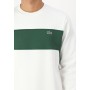 Lacoste Hoodie