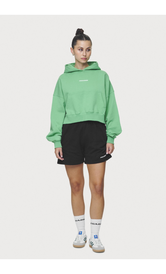 Pegador  - Sweatshirt - washed peppermint green