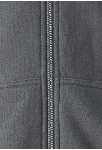 Hollister - Zip-up sweatshirt - irongate
