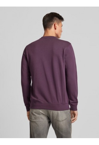 BOSS Sweatshirt with label stitching model