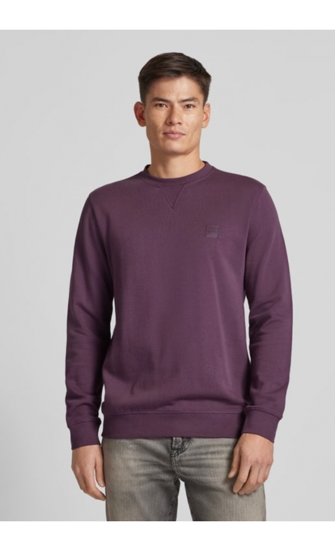 BOSS Sweatshirt with label stitching model