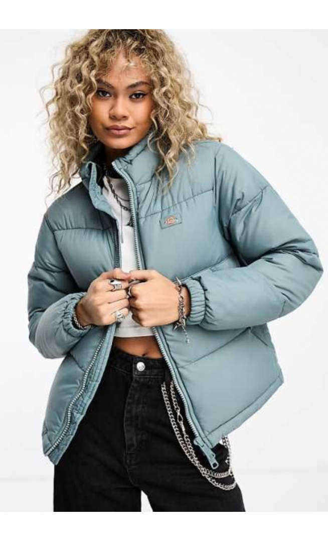 Dickies Blue Jacket