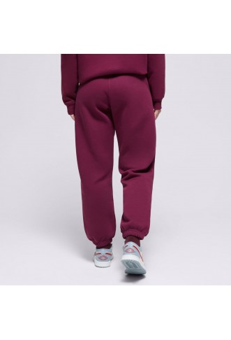 PANTS W JORDAN BRKLN FLC PANT