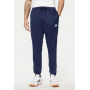 adidas Sportswear Big Logo Sweatpants
