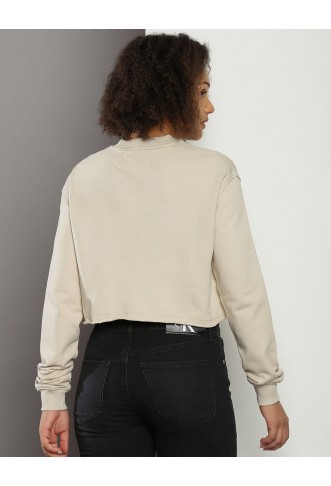 Calvin Klein Transitional  Embroidered Sweatshirt