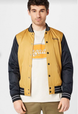 Hollister Men's bomber jacket