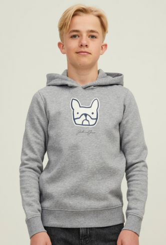 Jack & Jones Hoodie /...