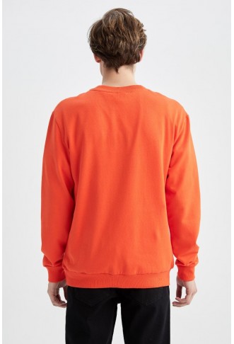 Regular Fit Soft Pile Printed Thin Fabric Sweatshirt