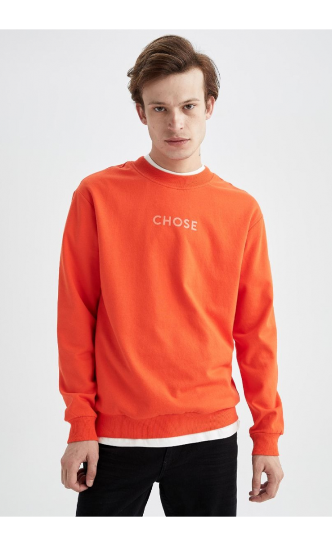 Regular Fit Soft Pile Printed Thin Fabric Sweatshirt