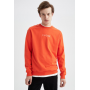 Regular Fit Soft Pile Printed Thin Fabric Sweatshirt