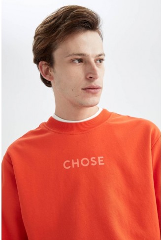 Regular Fit Soft Pile Printed Thin Fabric Sweatshirt