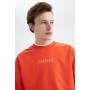 Regular Fit Soft Pile Printed Thin Fabric Sweatshirt