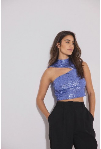 Cropped Cut Out Sequin Top