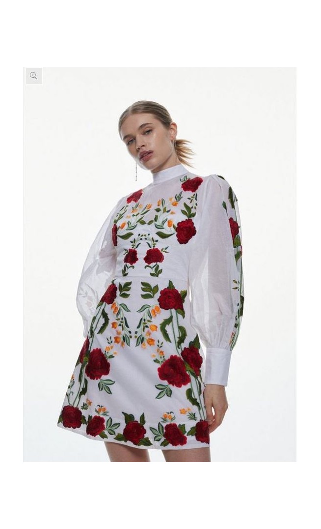 Rose Embroidered Cotton Organdie Mini Dress