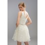 Premium Embellishment Mini Dress With Full Skirt