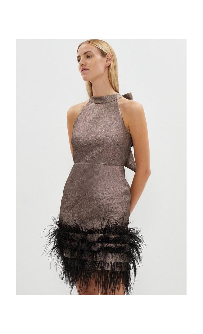 Premium Metallic Feather Trim Mini Dress