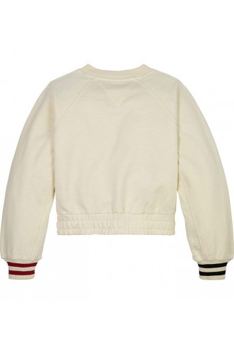 Tommy Hilfiger Sweatshirt - Monotype Logo Raglan