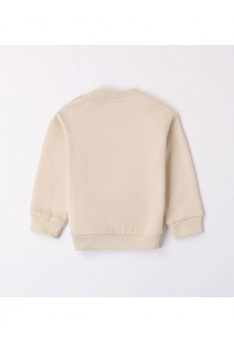 sweatshirt in warm cotton with fleece inside