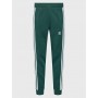 Sweatpants adicolor 3-Stripes HK7299 Green Slim Fit