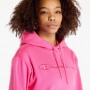 Champion Hooded Sweatshirt