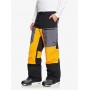 Quiksilver Winter Sports Pants (EQYTP03139)