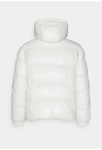 NATRAVISB - Winter jacket - cream